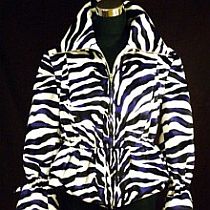zebra